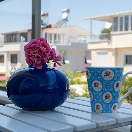 Ev Vila